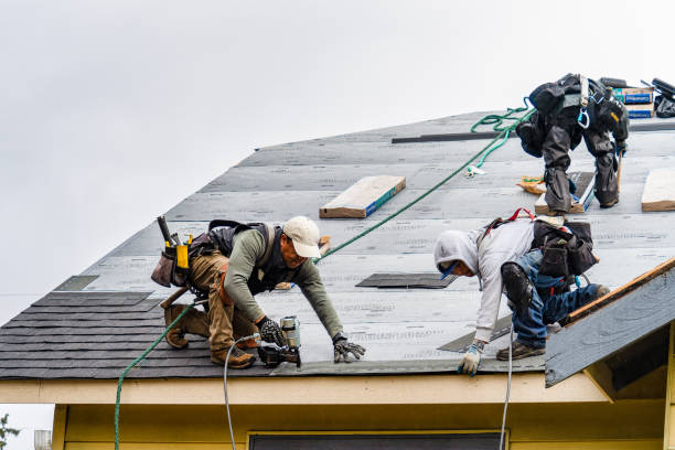 Professional Storm Damage Roof Repair technician working in East Moline, IL